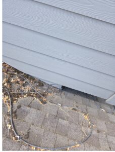 moss and leaf build up on roof 